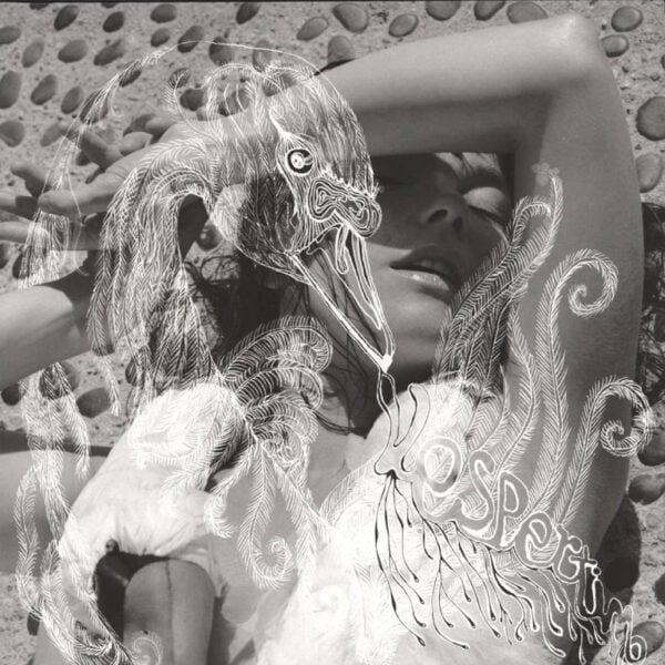 Bjork Vespertine