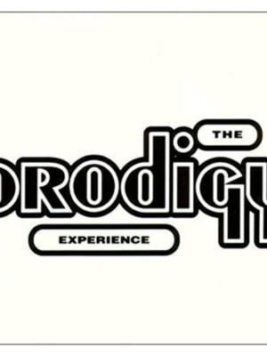 Experience