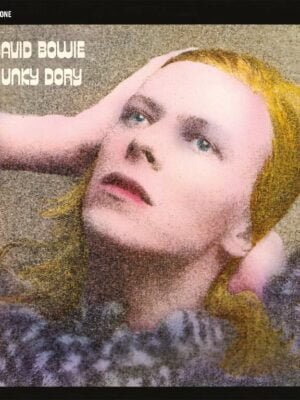 Hunky Dory