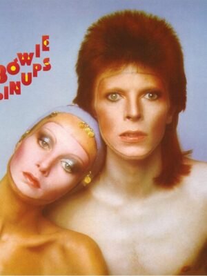Hunky Dory