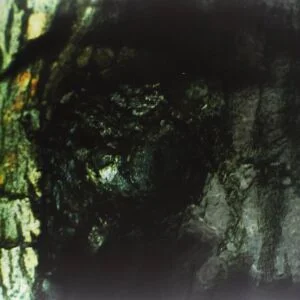 La Valse Des Monstres