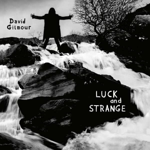 David Gilmour Luck And Strange
