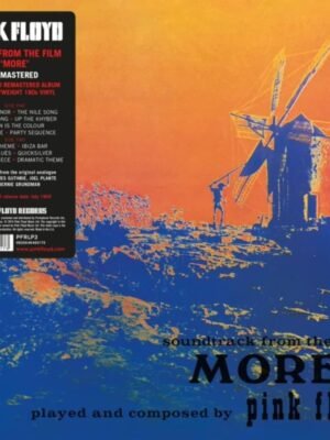 A Momentary Lapse Of Reason