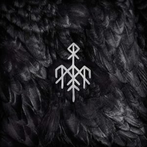 Kvitravn